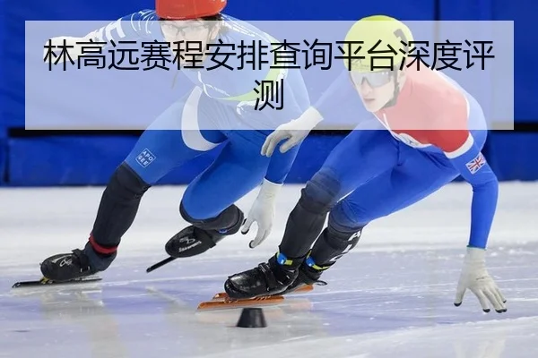 lin-gao-yuan-sai-cheng-an-pai-cha-xun-ping-tai-shen-du-ping-ce-2-551.jpg
